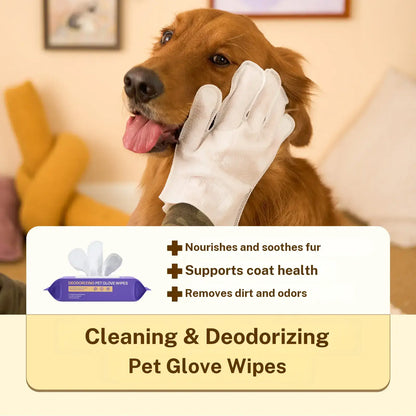 🧤Clean Your Dog Without the Bath-Time Struggle💟