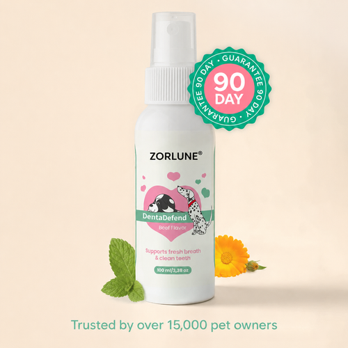 Freshen Your Dog's Breath — Without Brushing