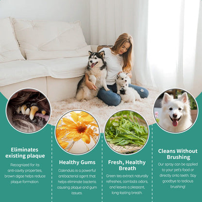 Freshen Your Dog's Breath — Without Brushing