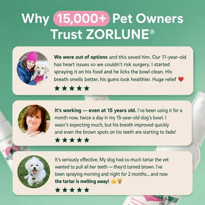 Freshen Your Dog's Breath — Without Brushing
