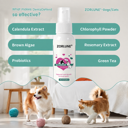 Freshen Your Dog's Breath — Without Brushing