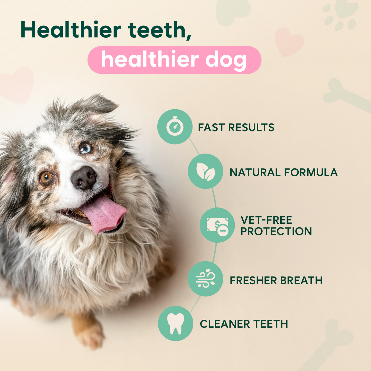 Freshen Your Dog's Breath — Without Brushing